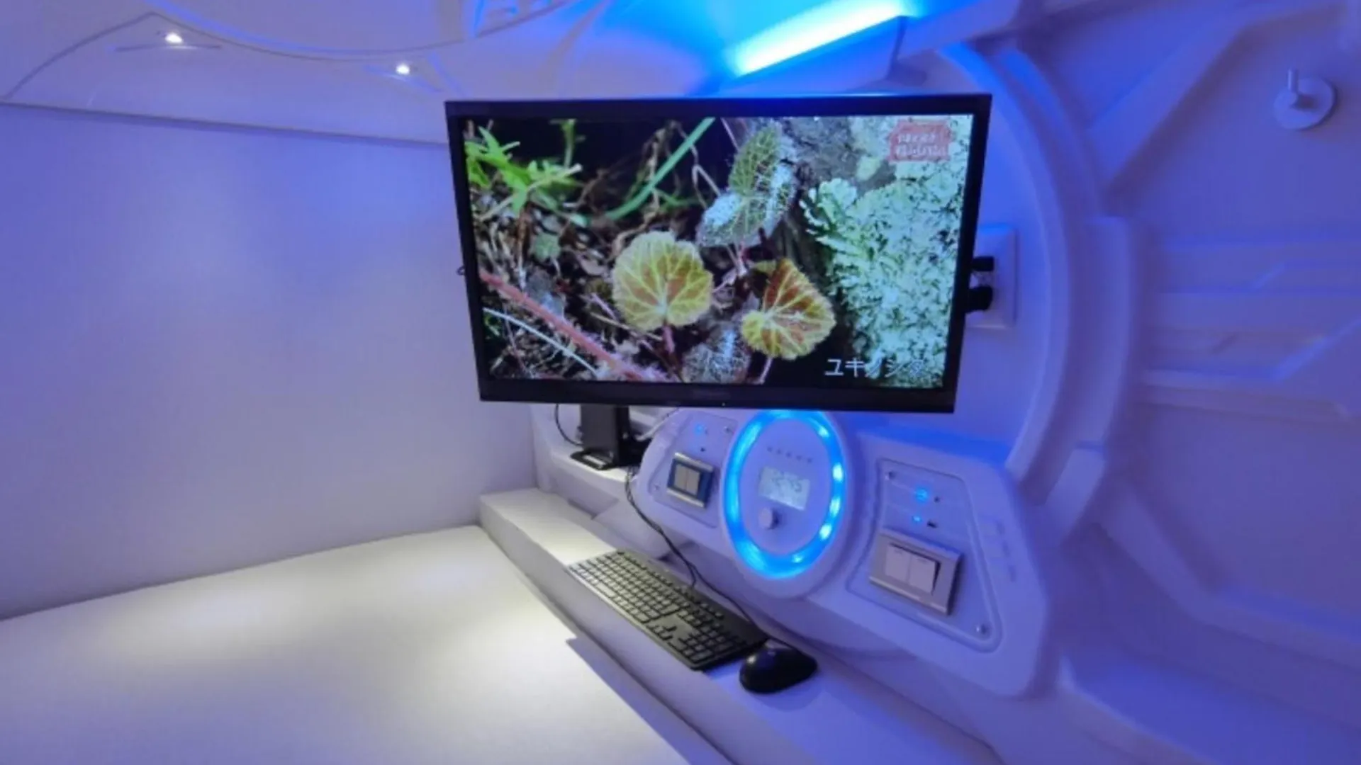 Capsule Hotel Manyudo